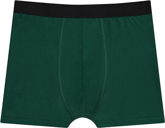 BILLIONHATS Case Pack of 720 Pieces Men Cotton Briefs in Bulk for Homeless Shelter Donating, Wholesale Underwear for Mens